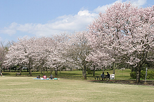 観桜苑3