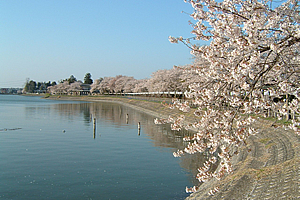 砂沼広域公園01